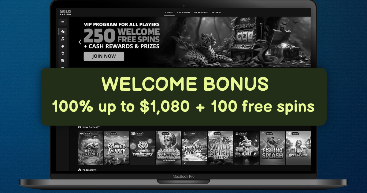 Wild Casino banner